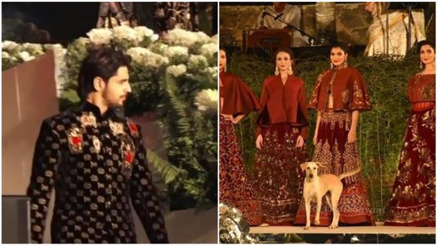 The dog was the star of Rohit Bal’s latest fashion show.(Viral Bhayani)