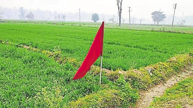 NHAI has put up flags in the fields in Gurdaspur district near the Indo-Pak border, for the upcoming passage that will connect the ‘darshan asthan’ with the Kartarpur corridor that Pakistan will construct. (HT Photo) NHAI has put up flags in the fields in Gurdaspur district near the Indo-Pak border, for the upcoming passage that will connect the ‘darshan asthan’ with the Kartarpur corridor that Pakistan will construct. (HT Photo)