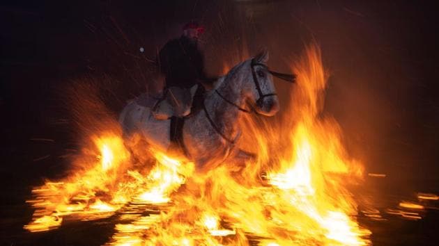 A horseman jumps over a bonfire in the village of San Bartolome de Pinares in the province of Avila in central Spain, during the opening of the traditional religious festival “Luminarias” in honour of San Antonio Abad (Saint Anthony), patron saint of animals. (Gabriel Bouys / AFP) A horseman jumps over a bonfire in the village of San Bartolome de Pinares in the province of Avila in central Spain, during the opening of the traditional religious festival “Luminarias” in honour of San Antonio Abad (Saint Anthony), patron saint of animals. (Gabriel Bouys / AFP)