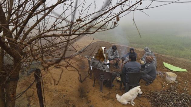 Karambeer Dhankhar, a resident of Patli village, said six street dogs have gone missing in the last seven days and villagers suspect that they have been killed and eaten by the big cat. “We are unable to rescue the leopard. The wildlife officials are not well equipped and are short of manpower, due to which the rescue operation is taking so long,” he said. (Sanchit Khanna / HT Photo) Karambeer Dhankhar, a resident of Patli village, said six street dogs have gone missing in the last seven days and villagers suspect that they have been killed and eaten by the big cat. “We are unable to rescue the leopard. The wildlife officials are not well equipped and are short of manpower, due to which the rescue operation is taking so long,” he said. (Sanchit Khanna / HT Photo)