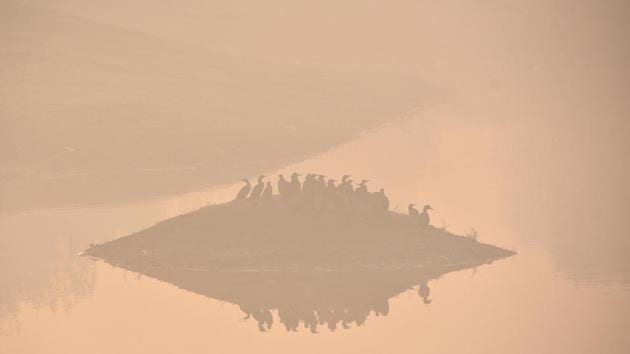 A flock of birds is seen across a field enveloped in the morning smog at Kashmiri Gate, in New Delhi. (Biplov Bhuyan / HT Photo) A flock of birds is seen across a field enveloped in the morning smog at Kashmiri Gate, in New Delhi. (Biplov Bhuyan / HT Photo)