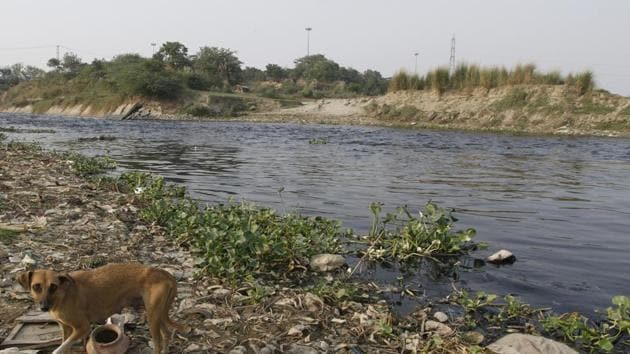 The polluted Najafgarh drain discharges into Yamuna river, adding to its pollution level. (HT File) The polluted Najafgarh drain discharges into Yamuna river, adding to its pollution level. (HT File)