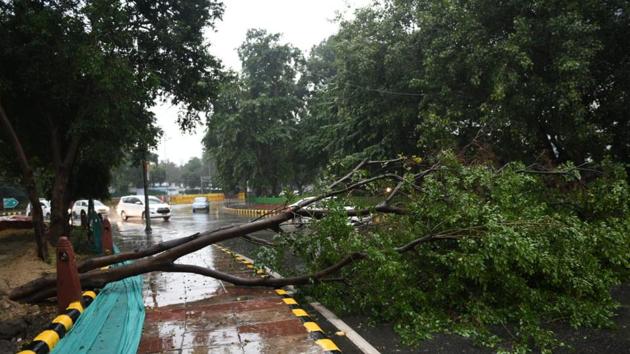 An uprooted tree near Ashok Road in New Delhi. “A cyclonic circulation has already formed over Rajasthan because of an approaching western disturbance. This is expected to trigger rain across the plains of northwest India, including Delhi, from the intervening night of Monday and Tuesday,” BP Yadav, deputy director general of the India Meteorological Department (IMD), said. (Arvind Yadav / HT Photo) An uprooted tree near Ashok Road in New Delhi. “A cyclonic circulation has already formed over Rajasthan because of an approaching western disturbance. This is expected to trigger rain across the plains of northwest India, including Delhi, from the intervening night of Monday and Tuesday,” BP Yadav, deputy director general of the India Meteorological Department (IMD), said. (Arvind Yadav / HT Photo)