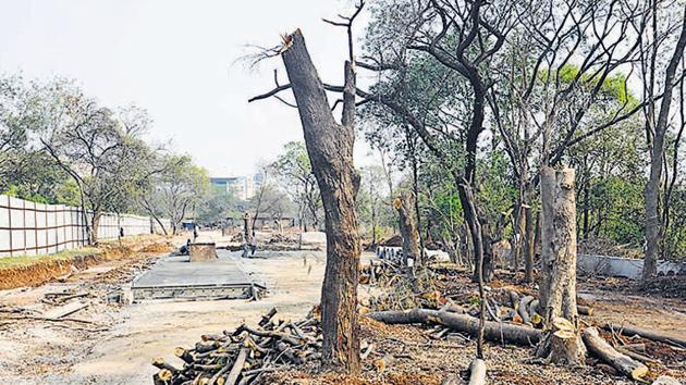 PMC has cut down trees for road construction from HSBC towers in Kalyaninagar to Gunjan chowk. The proposed realignment of the Vanaz-Ramwadi metro corridor is planned next to this road.(HT PHOTO) PMC has cut down trees for road construction from HSBC towers in Kalyaninagar to Gunjan chowk. The proposed realignment of the Vanaz-Ramwadi metro corridor is planned next to this road.(HT PHOTO)