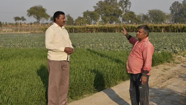According to 61-year-old Surinder Singh (L), the availability of a ready market to sell their produce has worked for the farmers of Palla. 44-year-old Pawan Kumar (R), who grows everything from wheat, paddy and all kinds of vegetables, is of the view that agriculture in Palla is a perennially profitable enterprise. “There is no way a farmer can lose money in Palla even though they get no support from the government,” he said. (Biplov Bhuyan / HT Photo) According to 61-year-old Surinder Singh (L), the availability of a ready market to sell their produce has worked for the farmers of Palla. 44-year-old Pawan Kumar (R), who grows everything from wheat, paddy and all kinds of vegetables, is of the view that agriculture in Palla is a perennially profitable enterprise. “There is no way a farmer can lose money in Palla even though they get no support from the government,” he said. (Biplov Bhuyan / HT Photo)