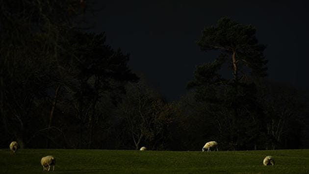Sheep graze as a dark snow cloud arrives in Glenshane Pass, Northern Ireland. (Clodagh Kilcoyne / REUTERS) Sheep graze as a dark snow cloud arrives in Glenshane Pass, Northern Ireland. (Clodagh Kilcoyne / REUTERS)