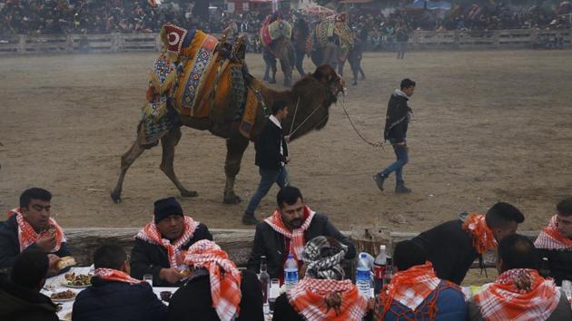 Spectators feast on meat and sausage washed down by raki, Turkey’s traditional anise alcoholic beverage, overlooking the arena where camels wrestle during the largest camel wrestling festival. (Lefteris Pitarakis / AP) Spectators feast on meat and sausage washed down by raki, Turkey’s traditional anise alcoholic beverage, overlooking the arena where camels wrestle during the largest camel wrestling festival. (Lefteris Pitarakis / AP)