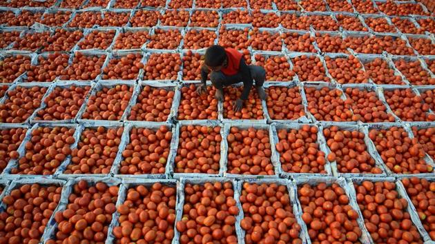 A young boy working at a wholesale vegetable market sorts through tomatoes in Jalandhar, Punjab. (Shammi Mehra / AFP) A young boy working at a wholesale vegetable market sorts through tomatoes in Jalandhar, Punjab. (Shammi Mehra / AFP)