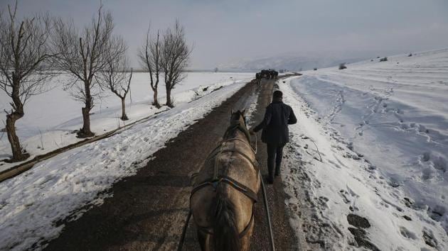 Berkan Toren returns to his village of Budakli after walking his water buffaloes to a bath in a nearby hot spring. The village’s main source of income is cheese, butter and milk from the buffaloes. Tourists, mostly local, also come to bathe, especially for rheumatic diseases and skin ailments. (Emrah Gurel / AP)