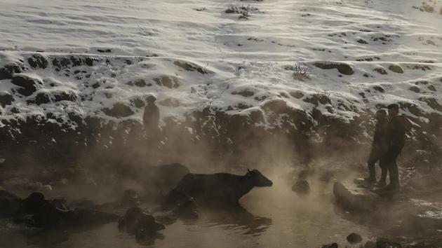 Water buffaloes bathe in a hot spring near the village of Budakli. The hot springs help keep the animals clean as they go through the winter. In the summer, the buffaloes swim in the cool waters of the plains. (Emrah Gurel / AP)