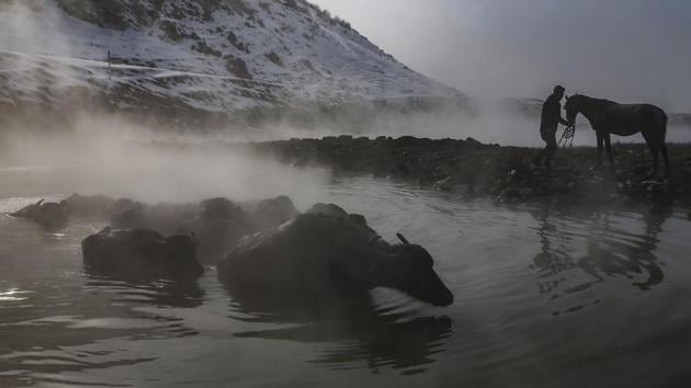 Water buffaloes bathe in a hot spring near the village of Budakli, in the mountainous Bitlis province of southeastern Turkey. For the buffaloes in eastern Turkey, the hot springs in the mountainous Bitlis province are a welcome refuge from the freezing wintry weather. (Emrah Gurel / AP)