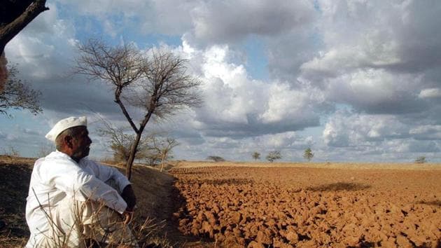 These ‘pain pockets’, as an analyst called them, are going to further impact already shrinking farm incomes and have contributed to lower rabi or winter-sown acreages of key crops.(PTI File Photo)