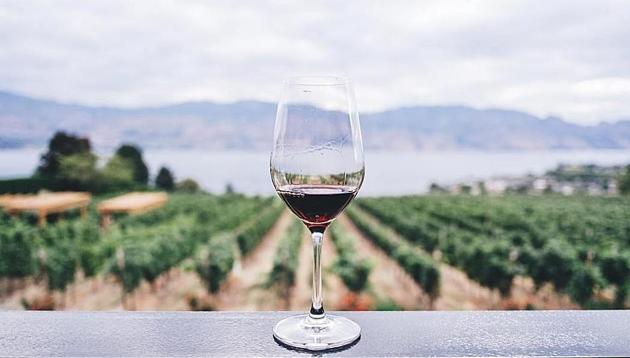While Turkish wine producers try to increase their footprint globally, Turkish Airlines, which flies to 120 countries, is doing its part to spread the word. It serves an array of Turkish wines. (Unsplash)