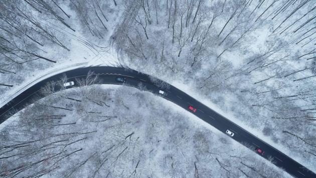 An aerial view shows cars driving on a street in a snow covered forest near Cologne, Germany. (Henning Kaiser / dpa / AFP)