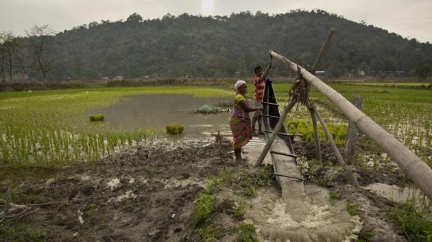 The two main announcements which will have a good effect on farmers are: interest rate subvention for farmers, which have been increased from 2% to 5% provided loans are serviced on time; and the cash transfer of Rs 6,000 per annum for marginal farmers. (AP) The two main announcements which will have a good effect on farmers are: interest rate subvention for farmers, which have been increased from 2% to 5% provided loans are serviced on time; and the cash transfer of Rs 6,000 per annum for marginal farmers. (AP)