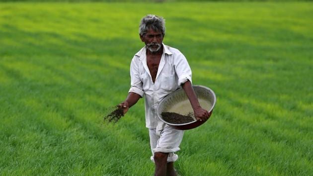 Admitting “reduced” returns in farming, the government in its interim budget on Friday announced a cash-transfer scheme for small farmers, along with a focus on non-crop sectors within agriculture.(REUTERS FILE PHOTO)