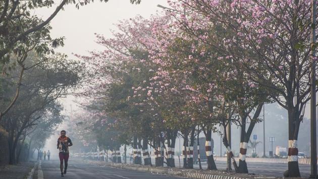 Bright pink flowers start blooming on the Rosy Trumpet (Tabebuia rosea) tree on the Eastern Express Highway near Vikhroli in Mumbai, Maharashtra. (Pratik Chorge / HT Photo)