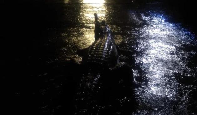 There were several saltwater crocodile sightings in the flood-ravaged Townsville area. (Image: Twitter/@Gavin Ingham) There were several saltwater crocodile sightings in the flood-ravaged Townsville area. (Image: Twitter/@Gavin Ingham)