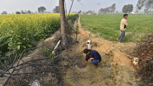 Another archaeologist who has played an instrumental role in establishing Rakhigarhi’s Harappan relation, is Ravindra Singh Bisht who paid his first visit to the village in 1972. He identified seven mounds where remains of the Civilisation could be found and recommended that they be declared ‘protected monuments’ by the Archaeological Survey of India (ASI). Presently four of the seven mounds are protected. (Burhaan Kinu / HT Photo) Another archaeologist who has played an instrumental role in establishing Rakhigarhi’s Harappan relation, is Ravindra Singh Bisht who paid his first visit to the village in 1972. He identified seven mounds where remains of the Civilisation could be found and recommended that they be declared ‘protected monuments’ by the Archaeological Survey of India (ASI). Presently four of the seven mounds are protected. (Burhaan Kinu / HT Photo)