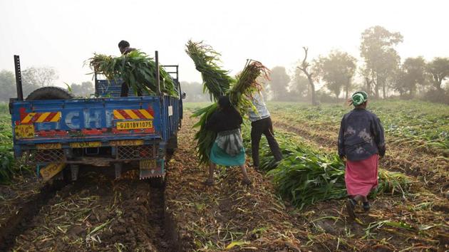 A corpus of Rs 2,000 crore will be set up at NABARD, an organisation that procures and trades farm items on behalf of government.(AFP/File Photo)