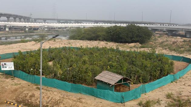 The urban forest, which was earlier a marshland full of sewage, is located near the Sun-Dial Park n south Delhi. It is part of an initiative to clean the Barapullah drain.(Mohd Zakir/HT Photo) The urban forest, which was earlier a marshland full of sewage, is located near the Sun-Dial Park n south Delhi. It is part of an initiative to clean the Barapullah drain.(Mohd Zakir/HT Photo)