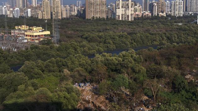 According to forest officials, the reserved forest status for the 6-ha Versova mangrove patch will ensure a stop to all illegal activities here.(Satish Bate/HT Photo)