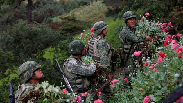 Soldiers cut opium poppies as they destroy a field of illegal plantation in the Sierra Madre del Sur, in the southern state of Guerrero, Mexico. The area of Mexico that illegally farms opium poppies grew by more than one-fifth last year, to an area of 30,600 hectares, according to a UN-backed study published in November. (Carlos Jasso / REUTERS)