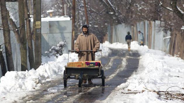 Kashmir valley has been witnessing heavy snowfall since Wednesday with Kulgam District in south Kashmir receiving maximum precipitation in the past 24 hours.(AP/ Representative Image)