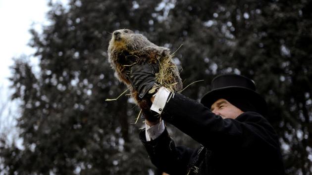 Punxsutawney Phil is introduced to the crowd on the 133rd Groundhog Day in Punxsutawney, Pennsylvania. (Alan Freed / REUTERS)
