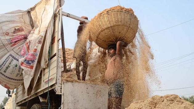 A labourer carries a load of wheat straw on his head to be used for animal feed on the outskirts of Jabalpur, Madhya Pradesh. (Uma Shankar Mishra / AFP) A labourer carries a load of wheat straw on his head to be used for animal feed on the outskirts of Jabalpur, Madhya Pradesh. (Uma Shankar Mishra / AFP)