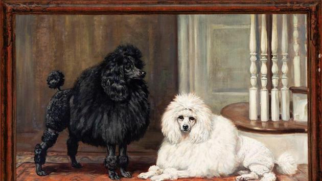 The museum’s opening has been timed to coincide with the start of Westminster Week.(Museum of the dog/Facebook)