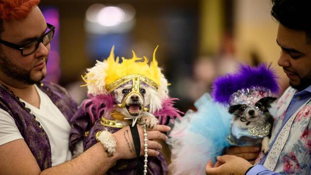 Two owners hold up their dogs, dressed up for the show. There was also the presentation of the Golden Paw awards for those work to support animals. (Johannes Eisele / AFP)