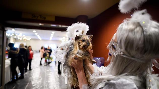 An owner in an outfit matching her dog, holds it up as they wait backstage to walk the ramp. (Johannes Eisele / AFP)