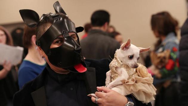 A woman holds a dog backstage. A best in show award is given for the most interesting costume. (Shannon Stapleton / REUTERS)