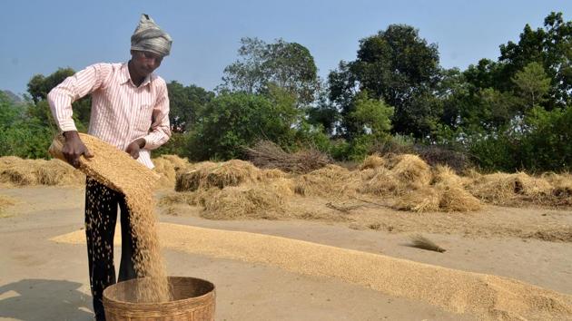 Under the BJP’s Pradhan Mantri Kisan Samman Nidhi scheme, farmers (who have below two hectares of land) will receive <span class='webrupee'>?</span>6,000 per year. But this amount is insufficient even to buy basic farm inputs. In fact, the Telangana and Odisha governments have initiated far more comprehensive income support plans for farmers.(Hindustan Times)