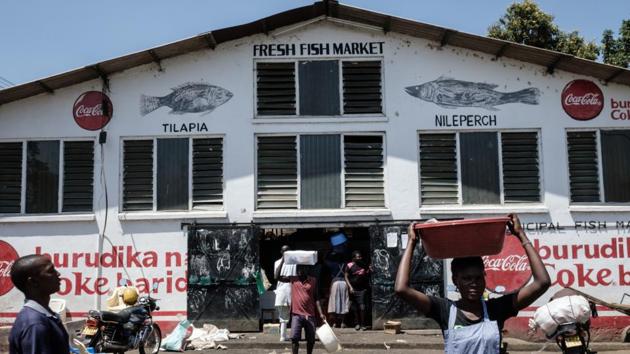 Agricultural pollution, illegal fishing in spawning grounds and global warming are all affecting fish reproduction and fishermen are seeing their catches evaporate, Aura said. In 2013, the Kenyan fishery industry in Lake Victoria landed 140,000 tonnes of fish, mostly Nile perch, white bait and tilapia. By 2016, the figure was down to 98,000 tonnes. (Yasuyoshi Chiba / AFP) 