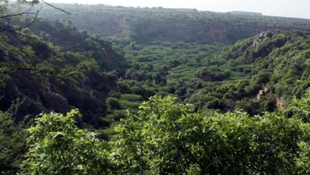 Environmental activists say Aravalli areas are the only forested areas in cities like Gurugram and Faridabad. They provide critical ecological services like ground water recharge, are wildlife habitats, and are also the last green lungs in rapidly concretising cities (Manoj Kumar / HT File) Environmental activists say Aravalli areas are the only forested areas in cities like Gurugram and Faridabad. They provide critical ecological services like ground water recharge, are wildlife habitats, and are also the last green lungs in rapidly concretising cities (Manoj Kumar / HT File)