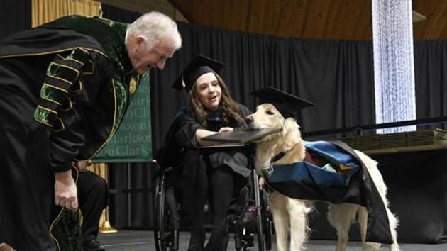 No longer is the vet merely the billi kuta vala doctor but with the growing respect for the value of animal life, veterinarians today are highly respected professionals.(AP)