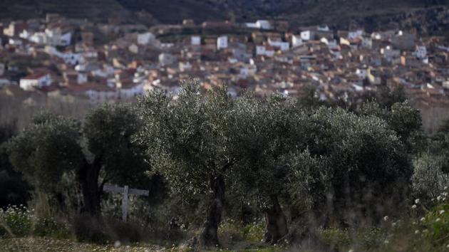 Residents began moving away to cities from rural towns and villages like Oliete, in the Aragon region, after Spain’s 1936-39 civil war. Some parts were left with just two people per square kilometre -- the same population density as in Siberia. The province of Teruel, where Oliete is located, is slowly dying. It has just 9.1 inhabitants per square kilometre, compared to the national average of 92. (Jose Jordan / AFP)