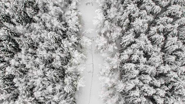 Aerial view of the footprints on the ice of a frozen river in a forest during snowfall near the village of Troitskoye outside Moscow. (Yuri KADOBNOV / AFP)