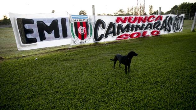 A dog stands near a banner reading in Spanish " Emi, you will never walk alone" before the start of Argentina soccer player Emiliano Sala's wake in Progreso, Argentina, on Saturday.(AP)