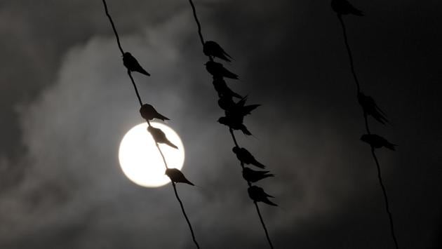 Birds are silhouetted against the sun as they roost on electric cables on a cold foggy day in Hyderabad, Telangana. (Mahesh Kumar A./ AP Photo)