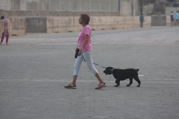 People who are residing in the city with their pet for more than three months will have to get the licence.(Praful Gangurde/HT) People who are residing in the city with their pet for more than three months will have to get the licence.(Praful Gangurde/HT)