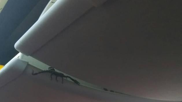 The passenger noticed the creature right above his seat near the storage compartment. (Instagram/karimtaslim) The passenger noticed the creature right above his seat near the storage compartment. (Instagram/karimtaslim)