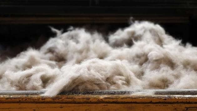 Rabbit fur to be moulded into a hat sits on a table at Borsalino's hat factory, in Spinetta Marengo, near Alessandria, Italy. Its prized felt hats are handmade by 80 workers in its Piemonte factory, many who have worked there for decades, with original machinery that use hot water and steam to transform rabbit fur into highly prized felt, that is formed into clochards, dyed and molded by hand to create the latest styles. (Antonio Calanni / AP Photo) Rabbit fur to be moulded into a hat sits on a table at Borsalino's hat factory, in Spinetta Marengo, near Alessandria, Italy. Its prized felt hats are handmade by 80 workers in its Piemonte factory, many who have worked there for decades, with original machinery that use hot water and steam to transform rabbit fur into highly prized felt, that is formed into clochards, dyed and molded by hand to create the latest styles. (Antonio Calanni / AP Photo)