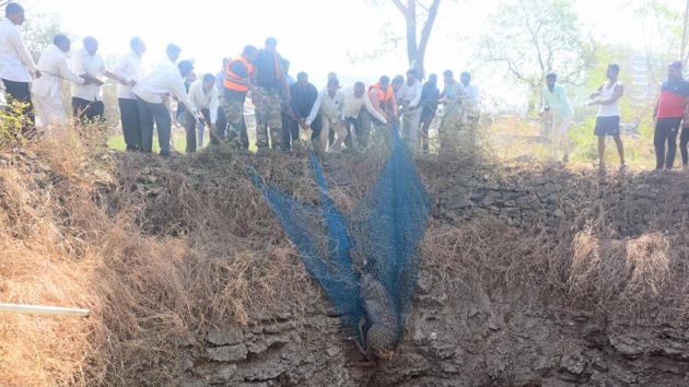 The locals, said that the fawn may have come near the well in search of water as reservoirs in nearby areas have gone dry due to inadequate rainfall. (Shankar Narayan/HT PHOTO) 