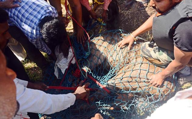 The rescue operation took two hours and the deer was out of the well by 10 am. (Shankar Narayan/HT PHOTO) 