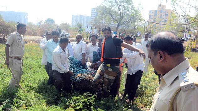 The animal was later into released in the Loni Kalbhor forest area, said forest officials. (Shankar Narayan/HT PHOTO) 