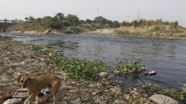 A polluted Najafgarh drain just before it joins the Yamuna river near Wazirabad in New Delhi.(HT File)