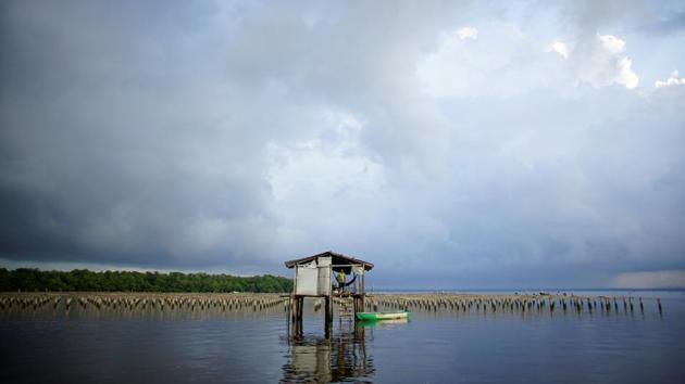 Fortunato Dominguez de la Cruz, 55, stands at a shelter where he guards an oyster farm at the Mecoacan lagoon near Paraiso, Mexico. Even before Mexican President Lopez Obrador took office last December, work had begun to cut down protected woodland on Pemex land on the coast of Tabasco state to make room for the new refinery next to the Dos Bocas port. (Alexandre Meneghini / REUTERS) Fortunato Dominguez de la Cruz, 55, stands at a shelter where he guards an oyster farm at the Mecoacan lagoon near Paraiso, Mexico. Even before Mexican President Lopez Obrador took office last December, work had begun to cut down protected woodland on Pemex land on the coast of Tabasco state to make room for the new refinery next to the Dos Bocas port. (Alexandre Meneghini / REUTERS)